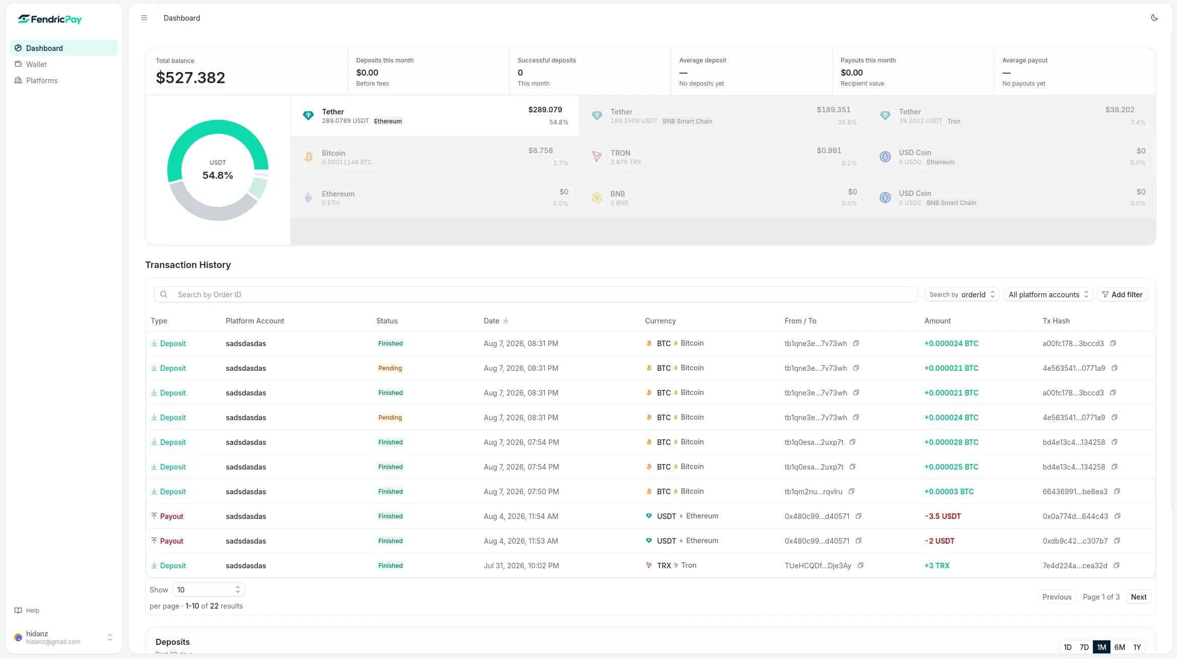 FendricPay merchant dashboard with balances and transactions